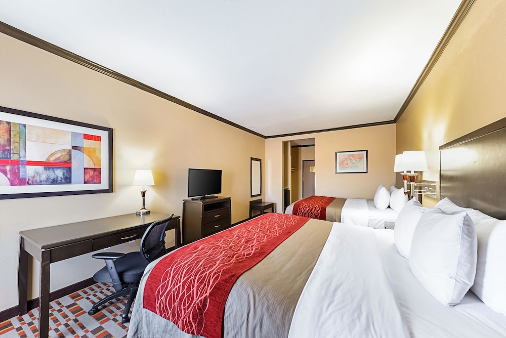 STANDARD, MULTIPLE BEDS, LOW FLOOR