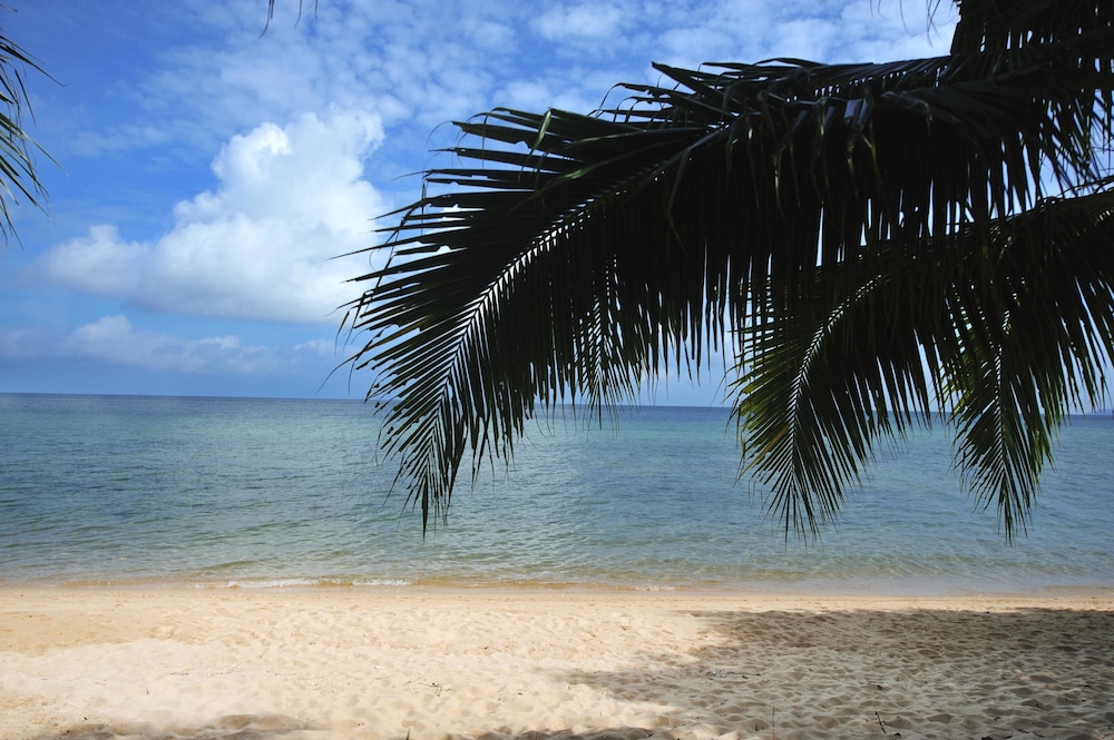 Paya Beach Spa and Dive Resort 43/50