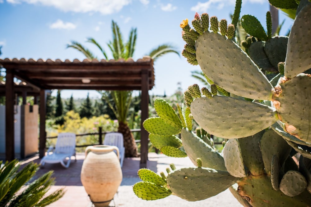 Vecchia Masseria 58/65