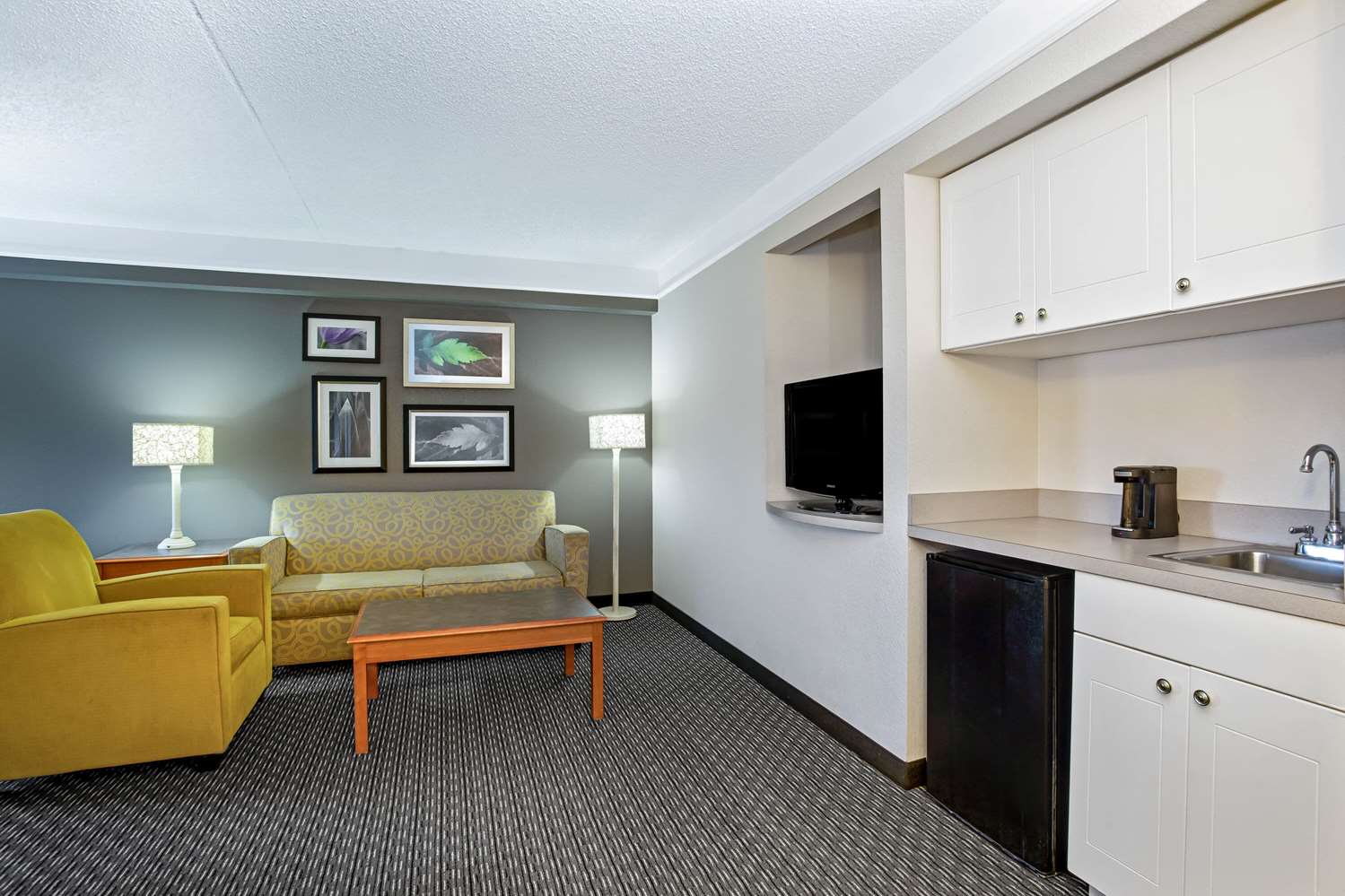 La Quinta Inn And Suites By Wyndham Tucson Airport 22/47