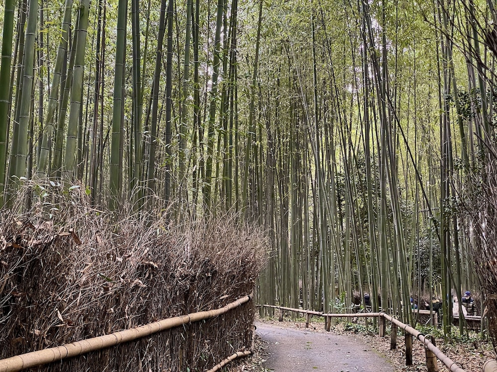 Yado Arashiyama 58/63