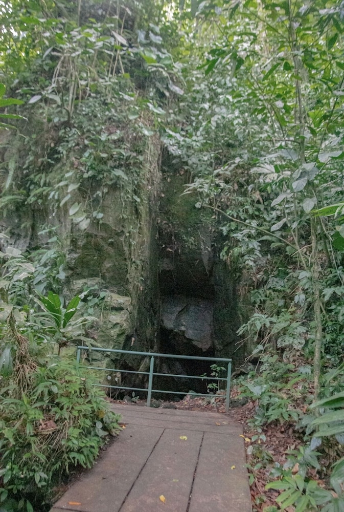 Cabinas El Icaco Tortuguero - Hostel 53/76