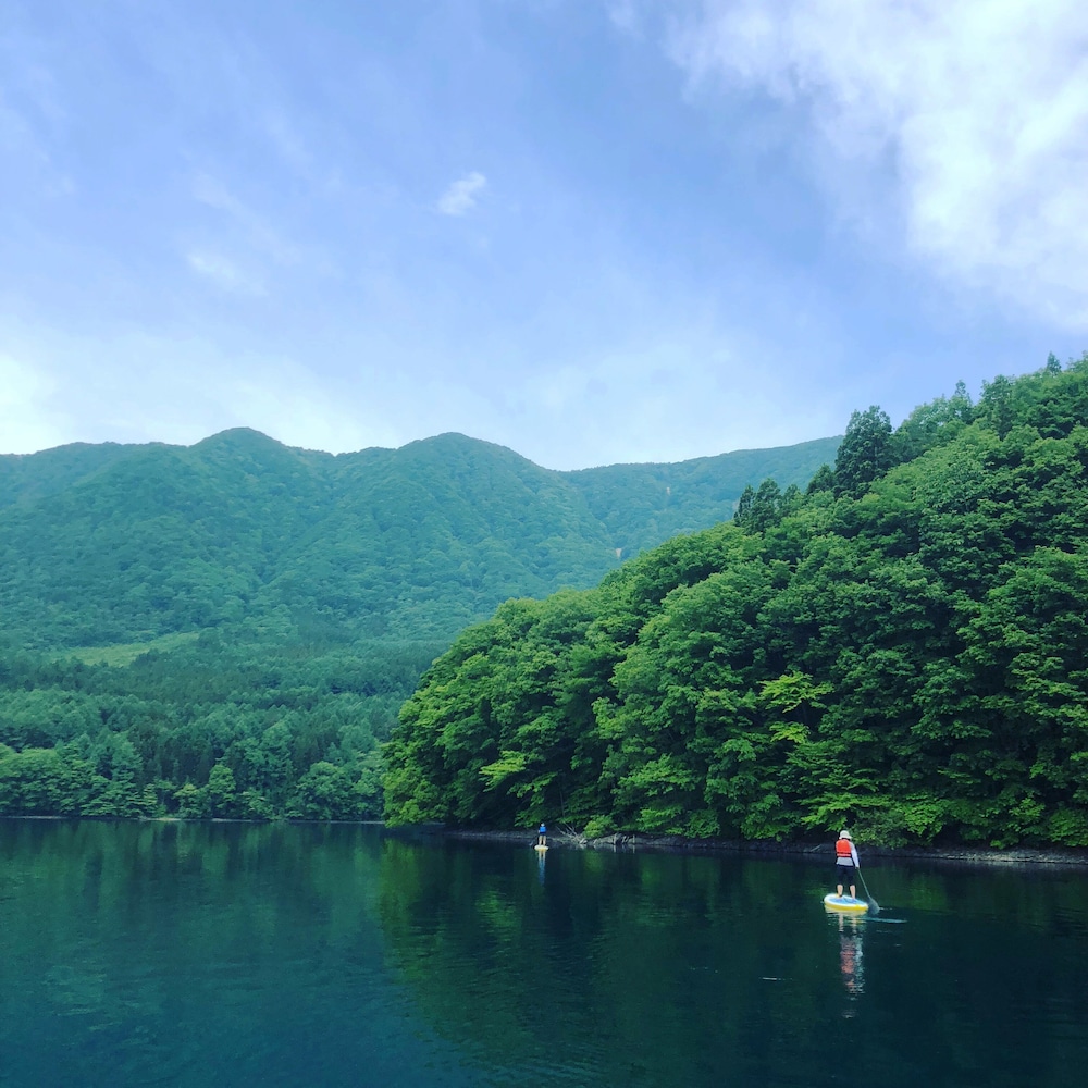 The Guest House Japan Hakuba 40/50