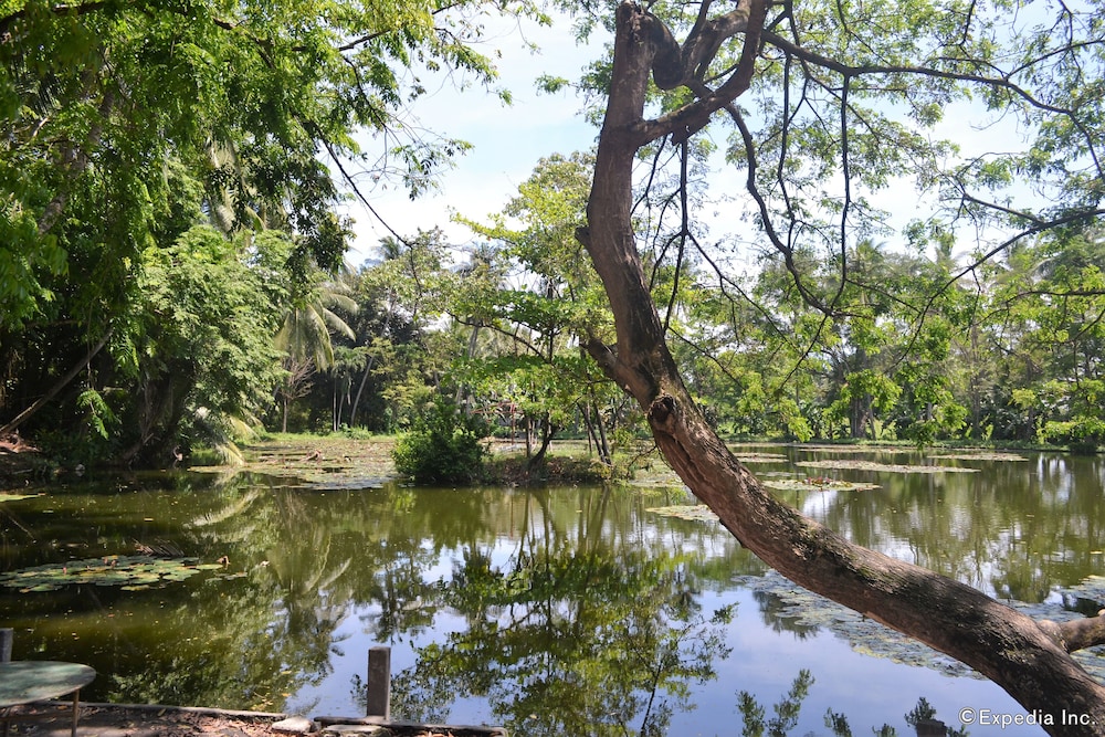 Amandari Cove 39/49