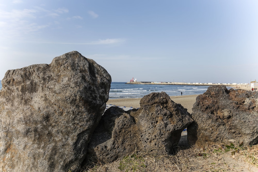 Jeju Ocean Family Hotel 67/75