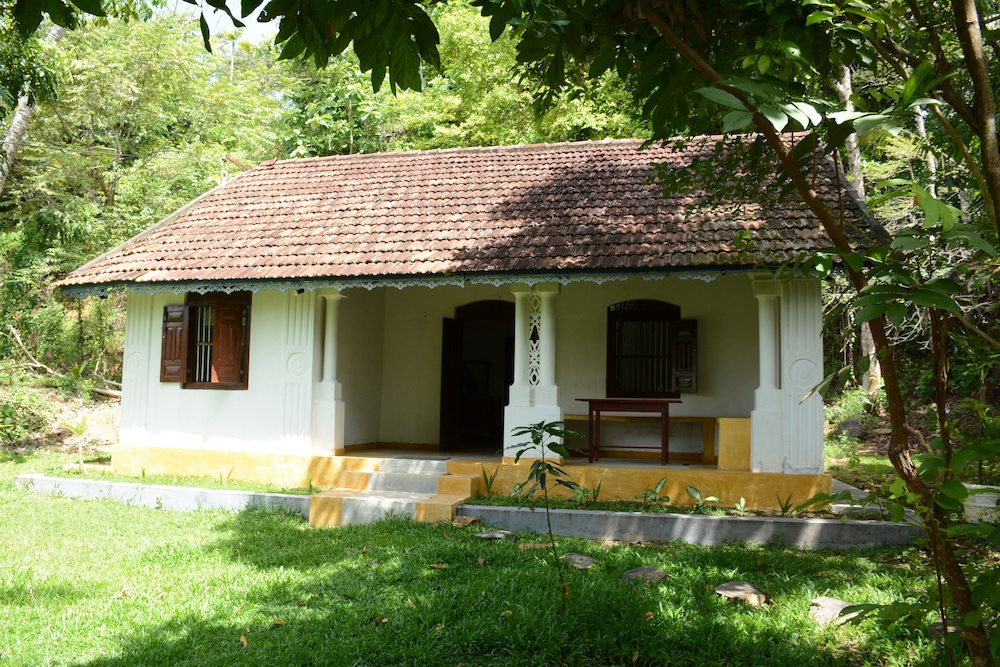 The Jungle House 44/50