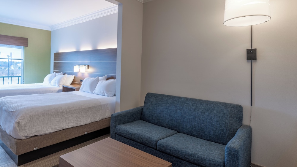 Holiday Inn Express Hotel And Suites Macon West 63/63