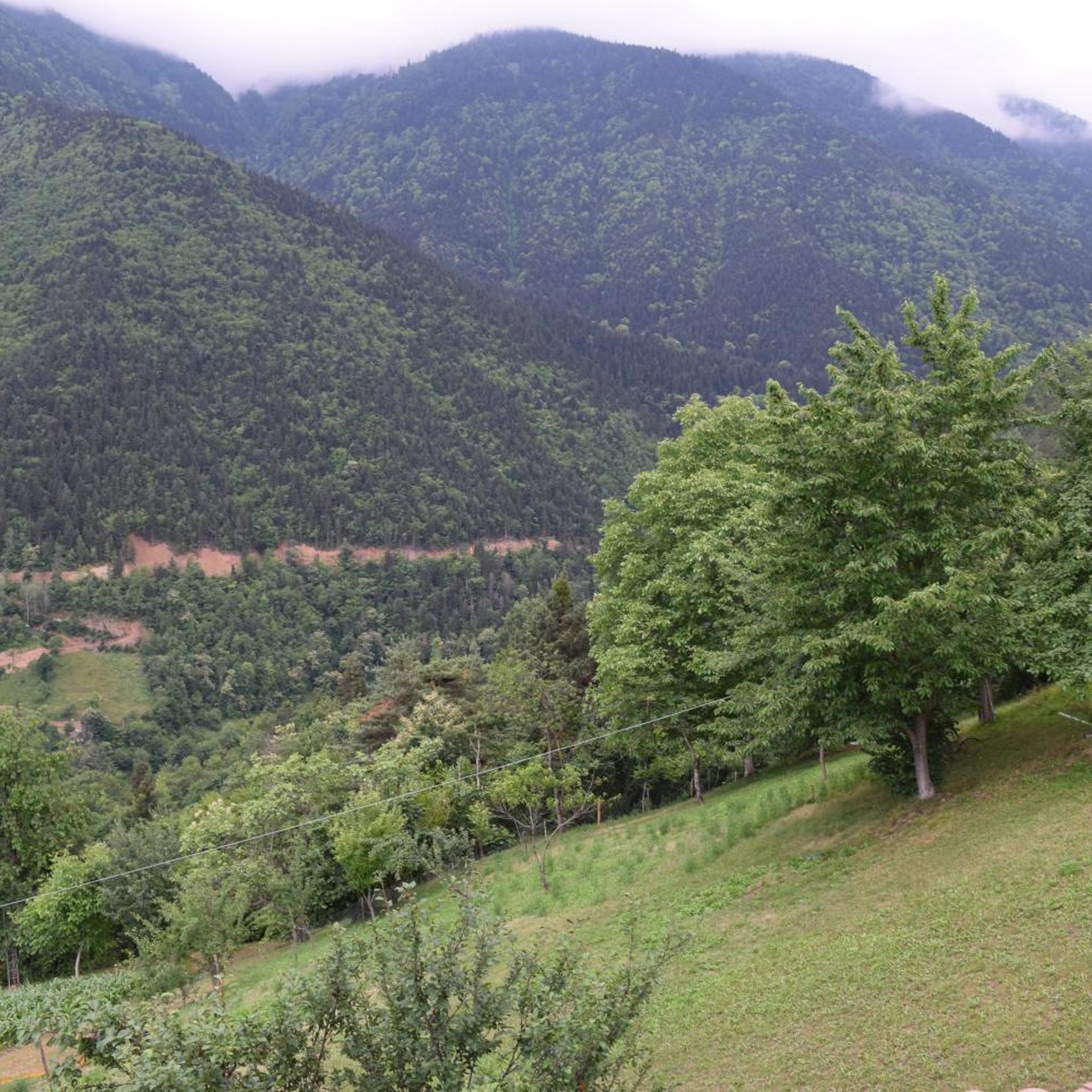 Mars Otel Artvin 36/50
