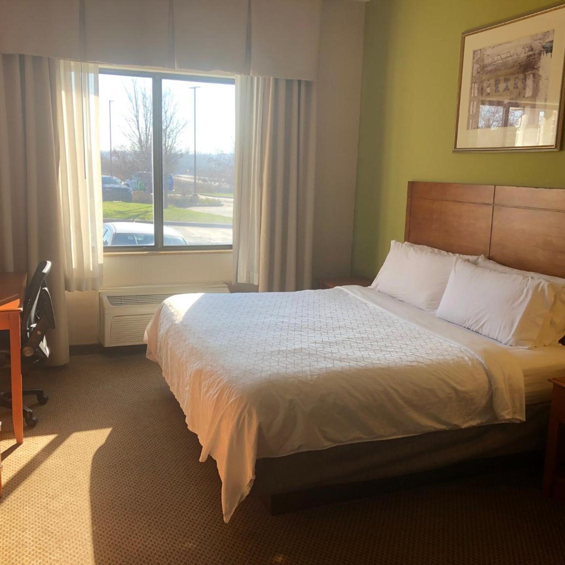 Suite, King Bed, Sofa
