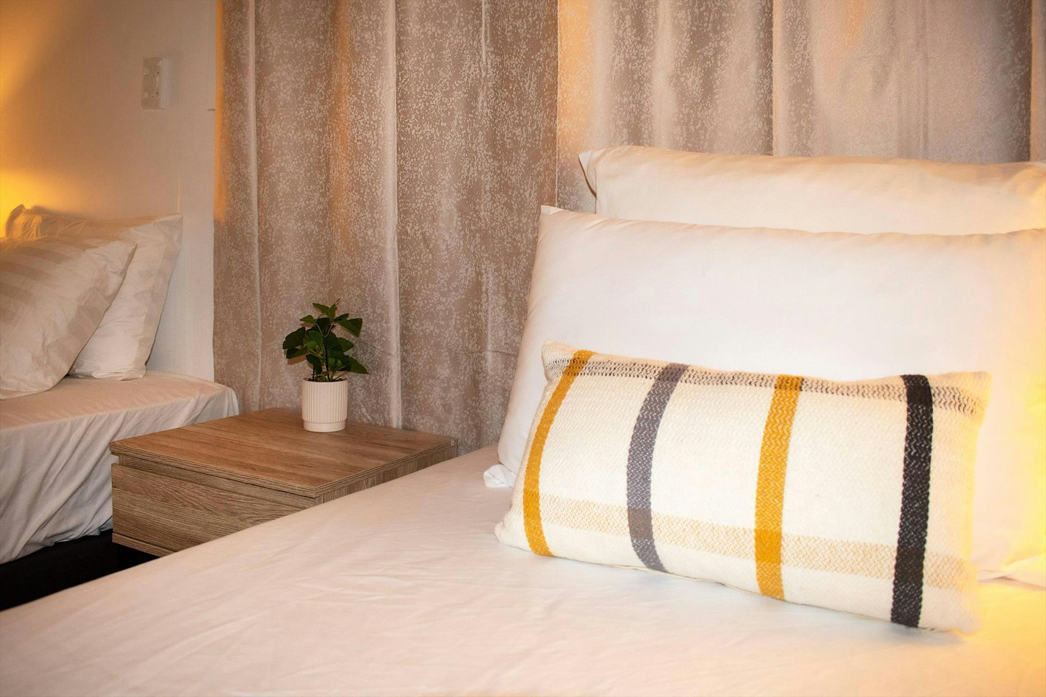 Palm Court Budget Motel Backpackers 9/43