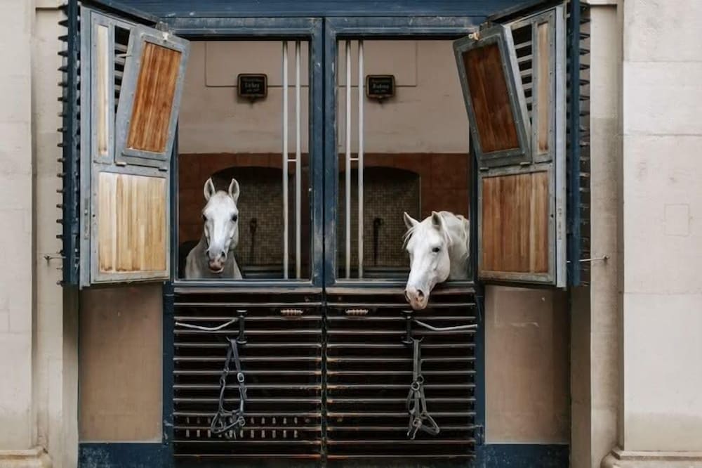 Boutiquehotel Das Tyrol 10/69