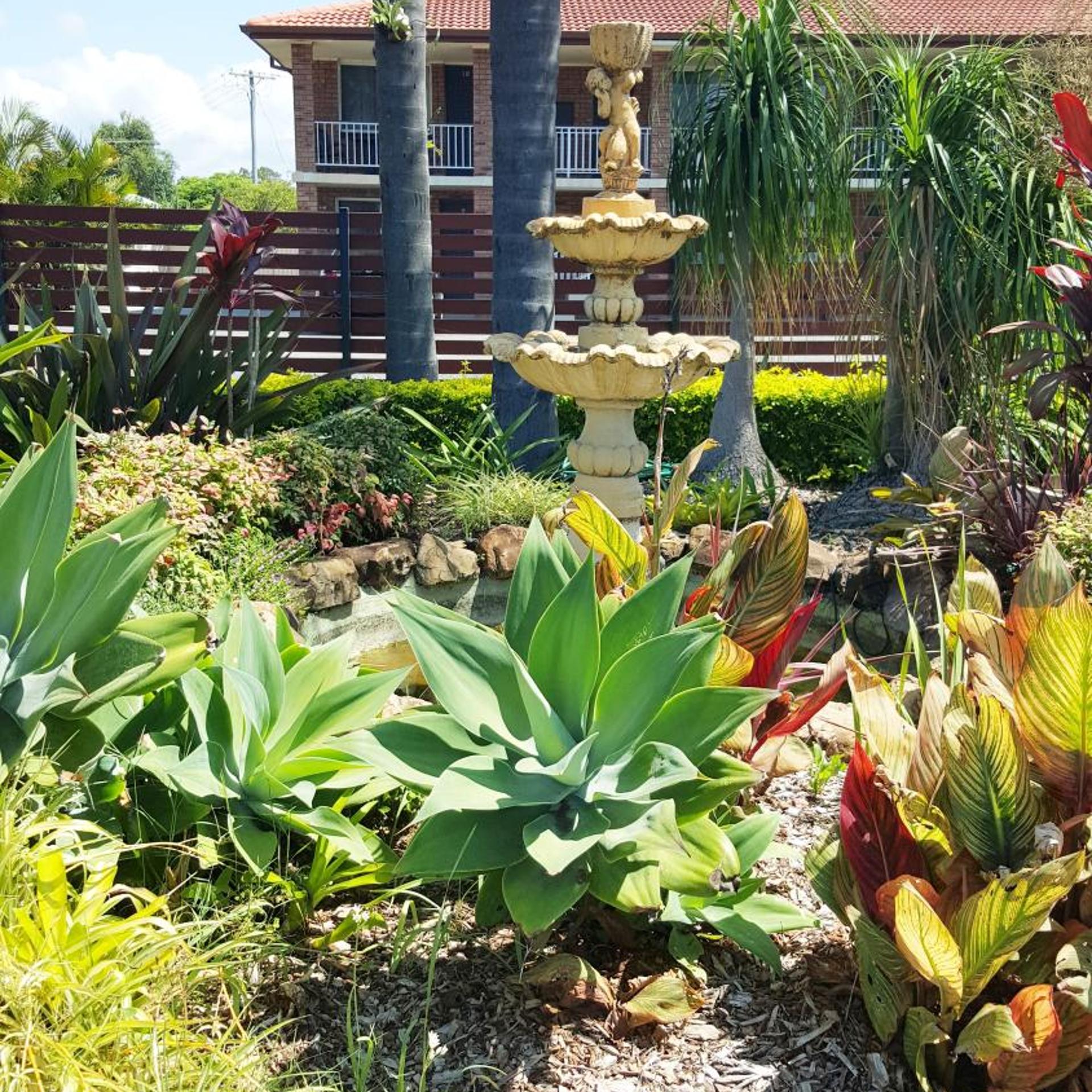 Tuncurry Motor Lodge 1/46