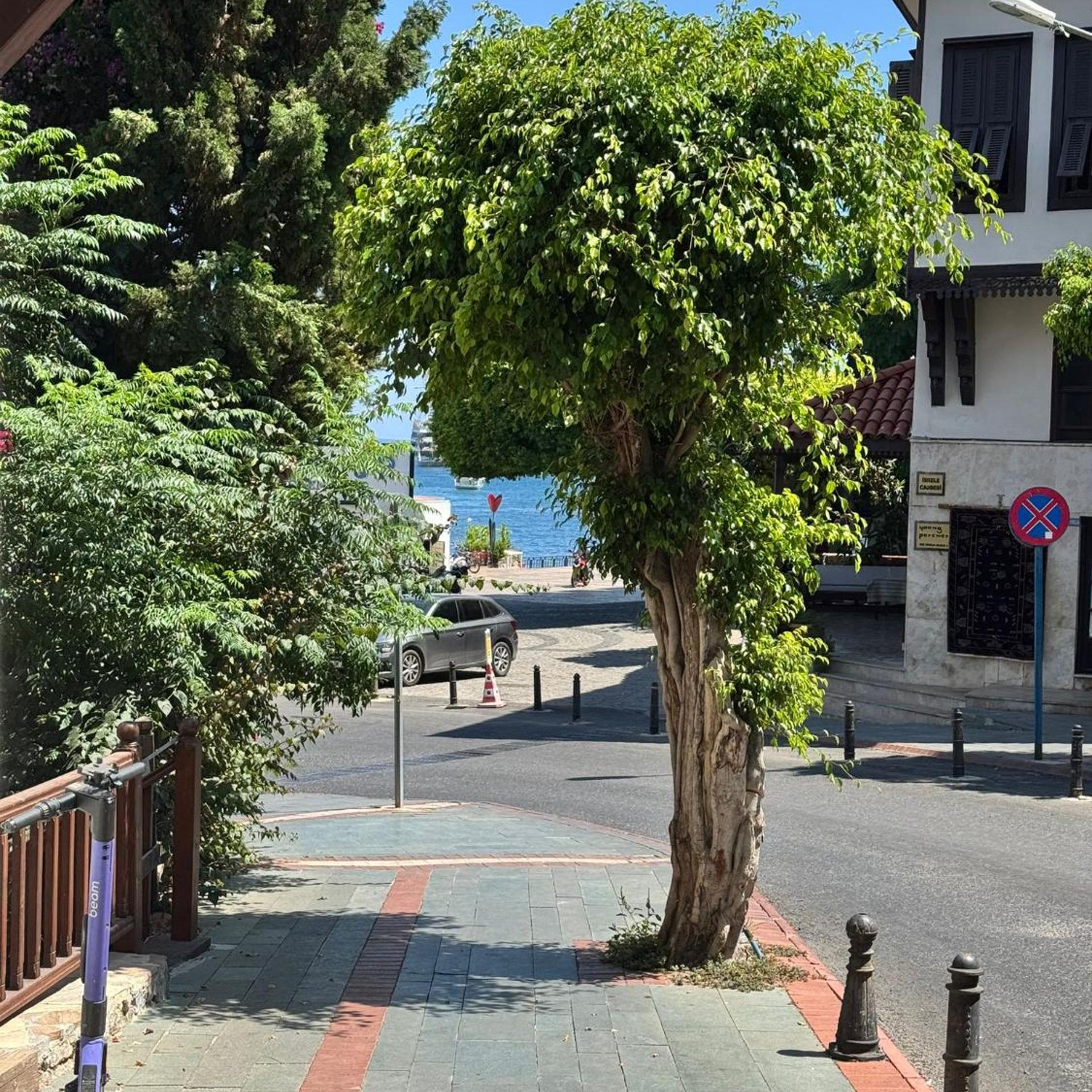 Temiz Otel 40/51