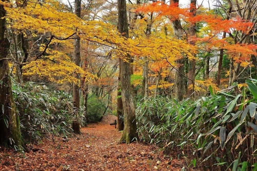 Hakone Guest House Toi - Hostel 15/16