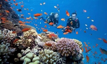 アート・デラックス・ホテル 写真3