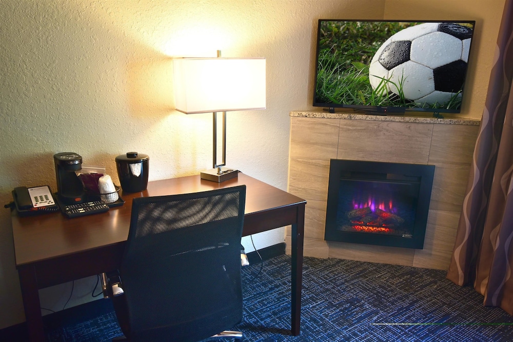 Best Western Plus Flint Airport Inn & Suites 27/38