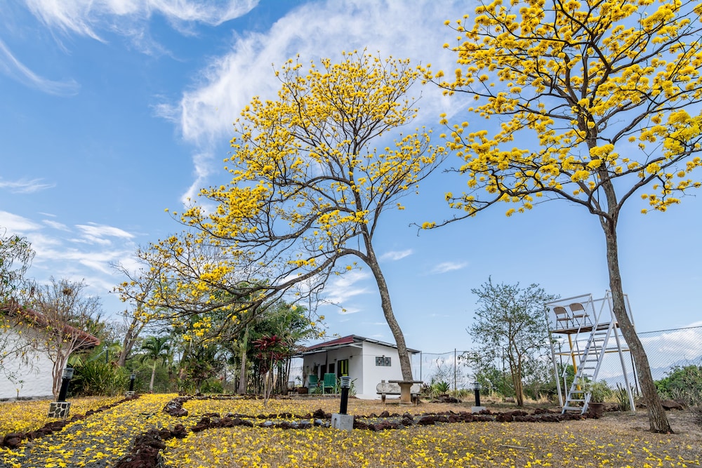 Villa Margarita 40/50