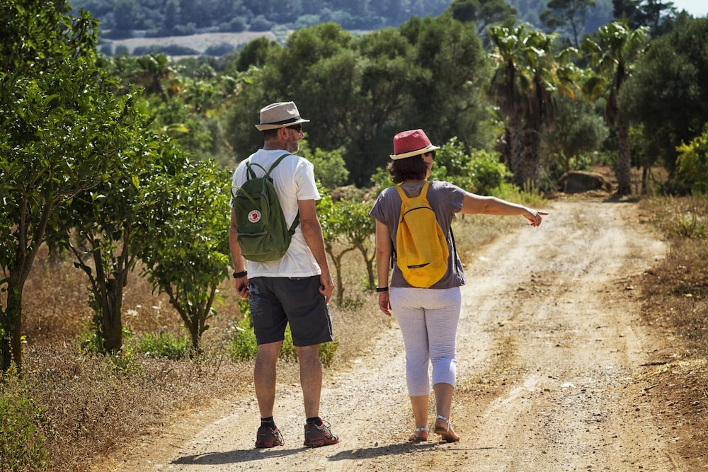 Sa Bassa Rotja Ecoturisme 53/67