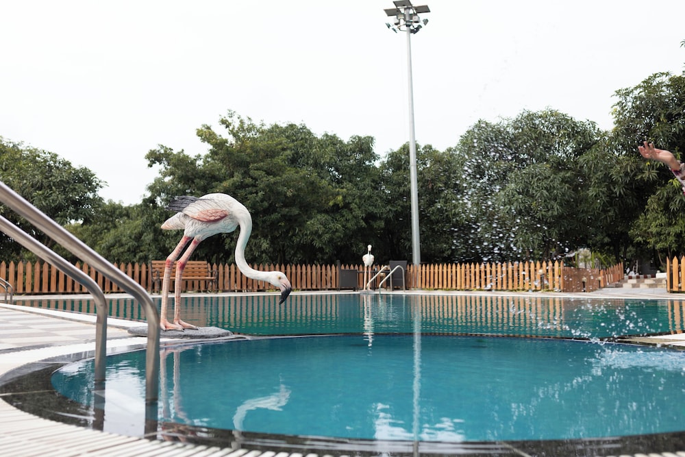 Freesia Resort by Express Inn 40/45