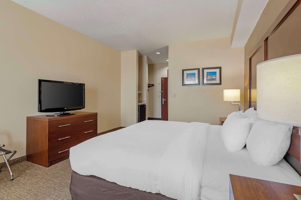 غرفة قياسية بسرير كينج، Comfort Inn and Suites Seguin, TX 3/5