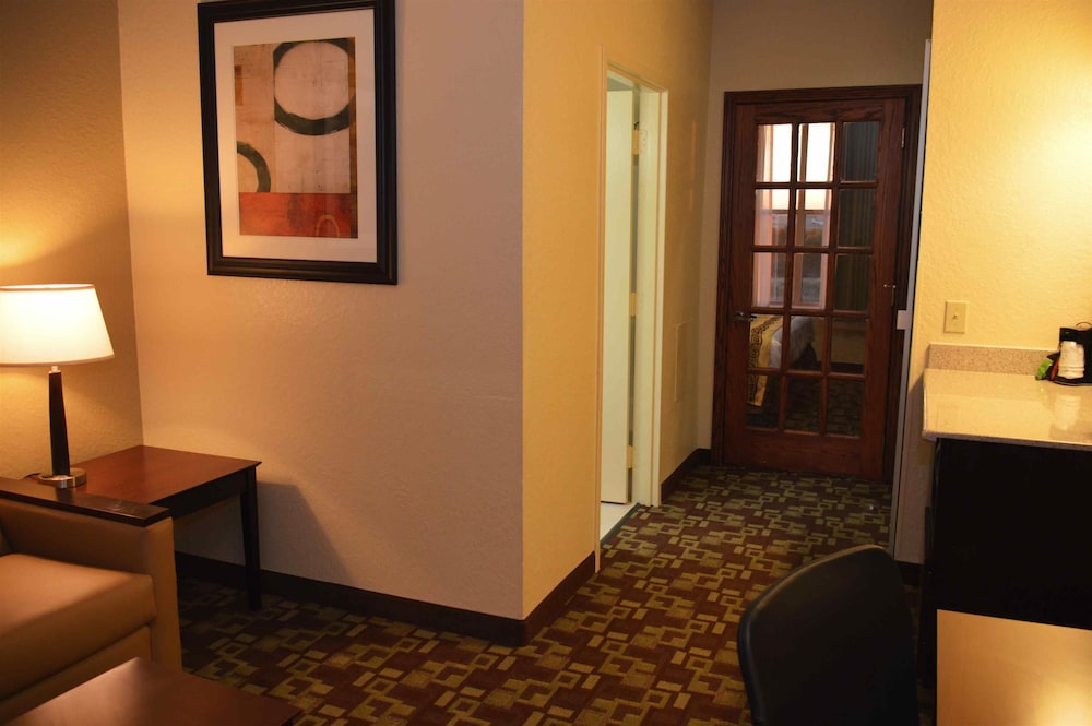 Best Western Plus Hobby Airport Inn and Suites 21/58