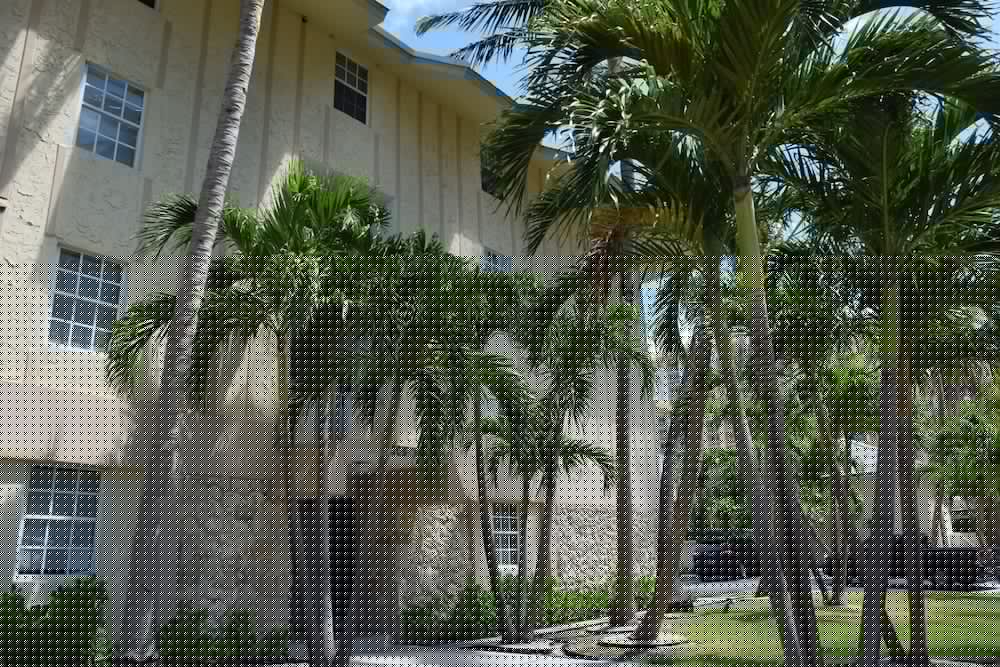 Coral Reef Suites in KEY BISCAYNE - FL