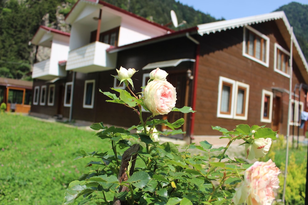 Selale Otel Ve Bungalow 38/50