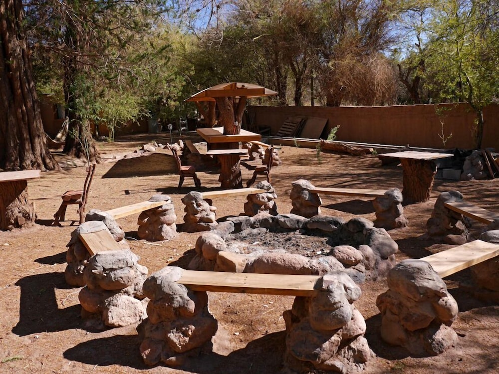 Terra Luna Atacama 8/19
