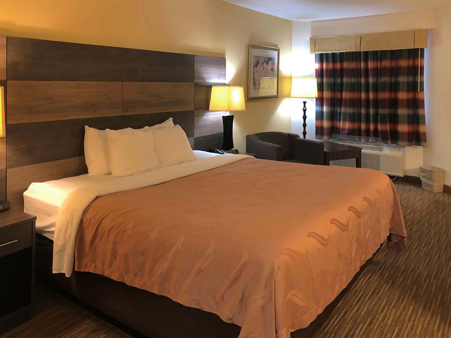 Room, King Bed, Accessible