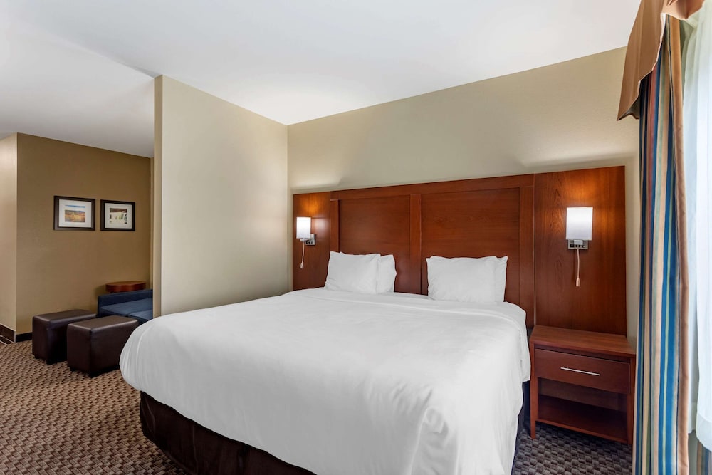Comfort Inn and Suites Carbondale University Area 11/34