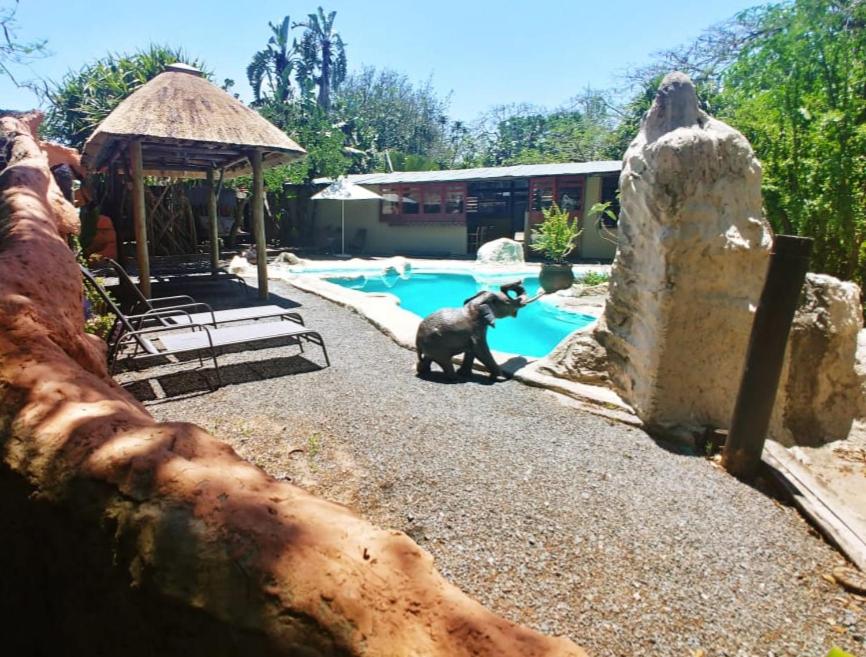 Pumusa Bushcamp 28/48