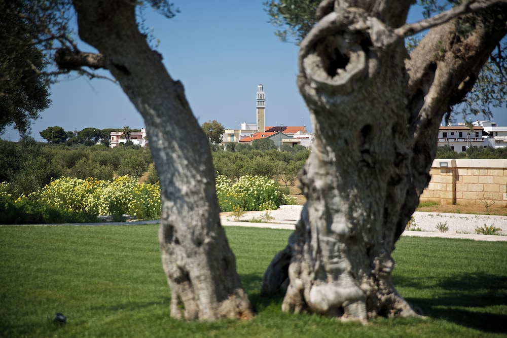 Masseria Stali 69/76