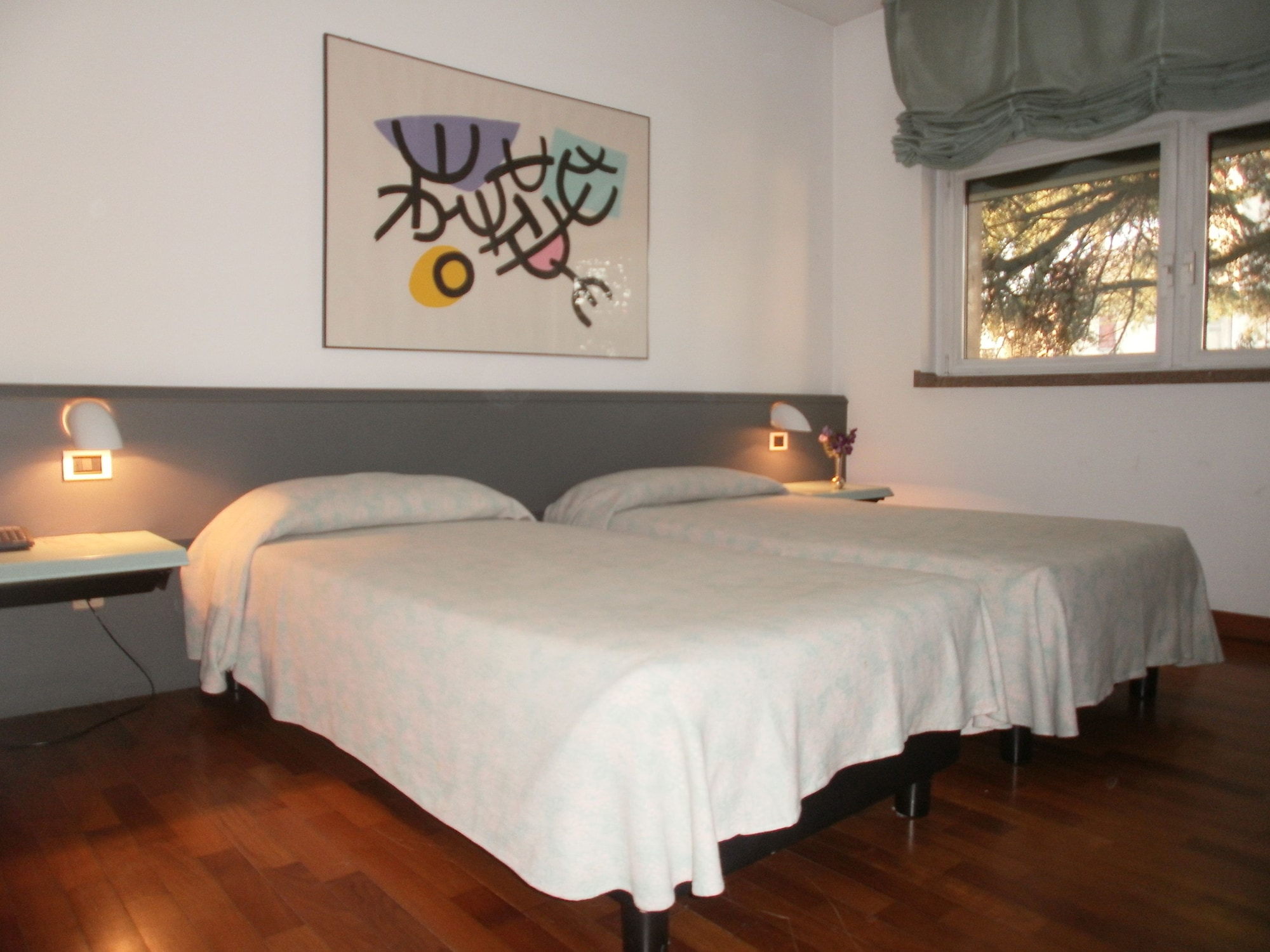 غرفة سوبيريور بسريرين منفصلين بإطلالة على المتنزه، Albergo Villa & Roma 2/3