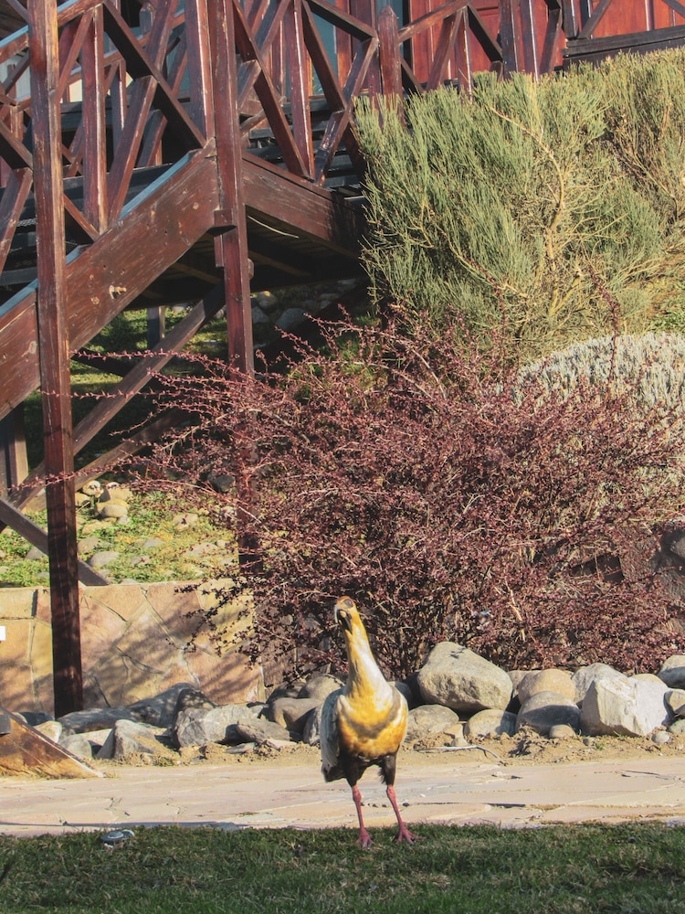 La Cantera Boutique Hotel Calafate 52/60