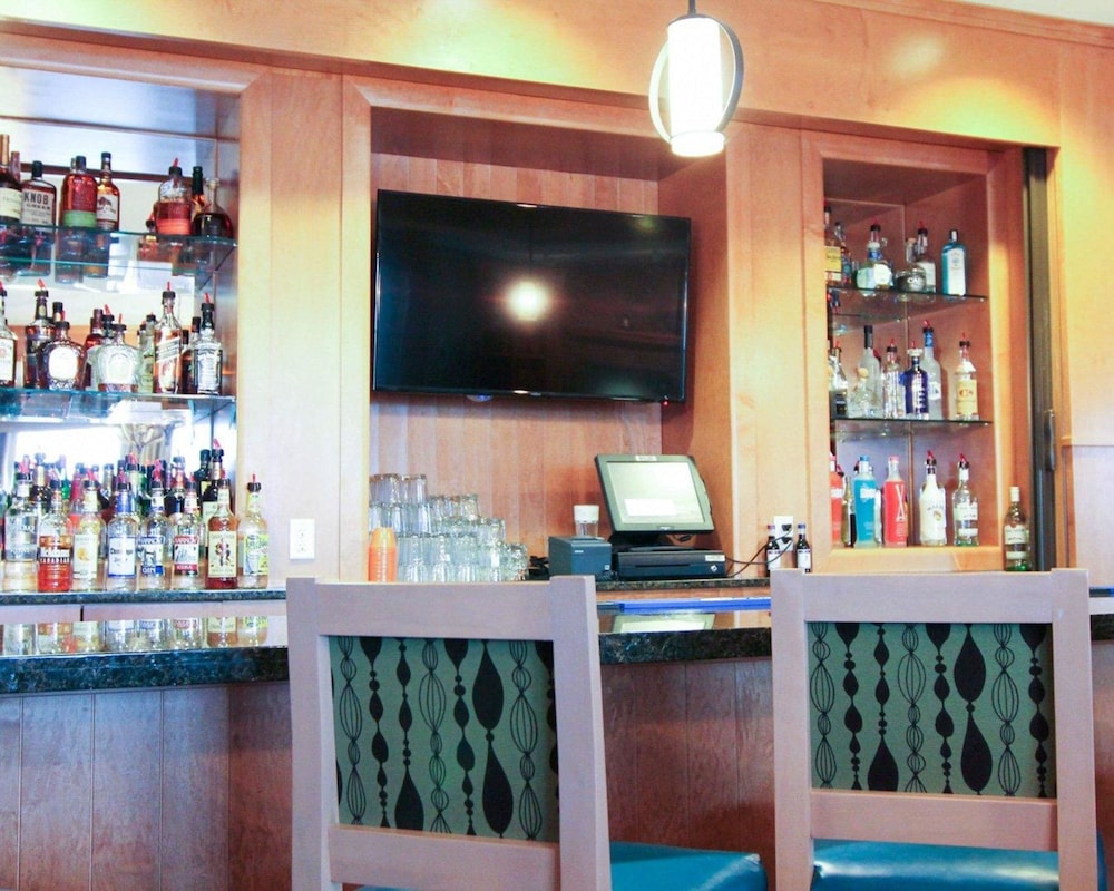 Mainstay Suites Tioga 33/47