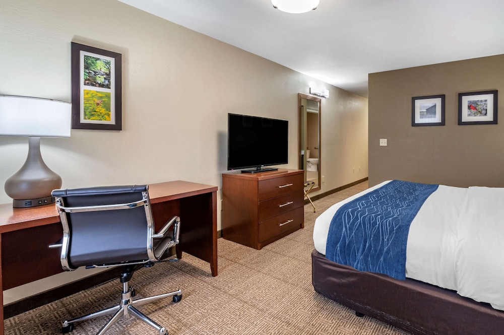 Comfort Inn & Suites Northern Kentucky 11/48
