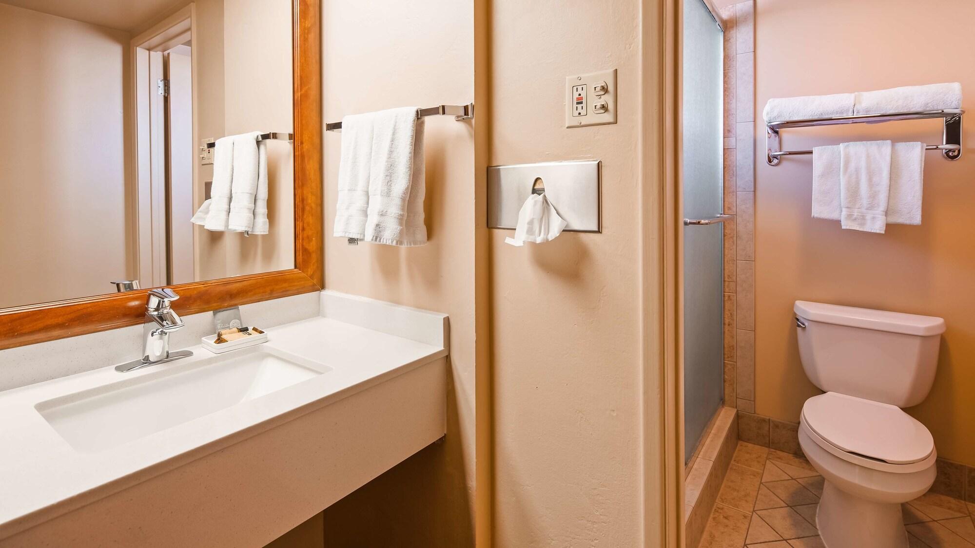 غرفة قياسية بسريرين كوين لذوي الإعاقة، Best Western Plus King's Inn & Suites 6/9