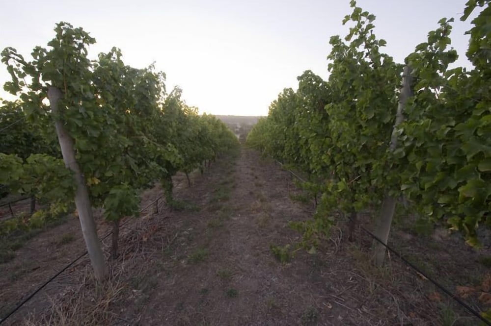 Barristers Block Vigneron Villa 4/8