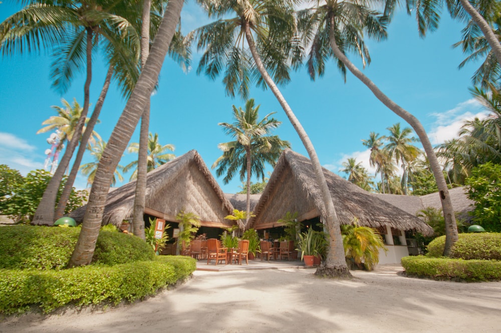 Fihalhohi Maldives 43/61