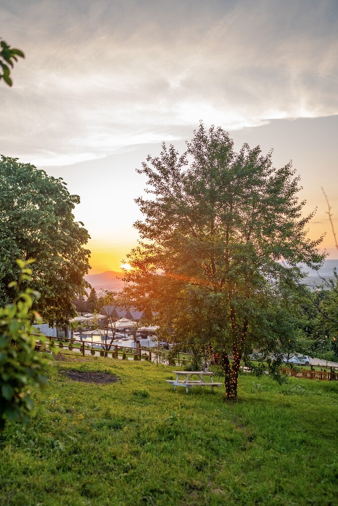 Alya Kartepe Villa Hotel 29/50