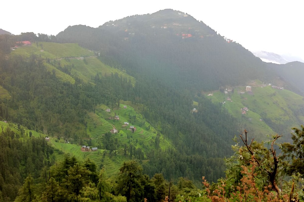 LALL JI TOURIST RESORT. 46/50