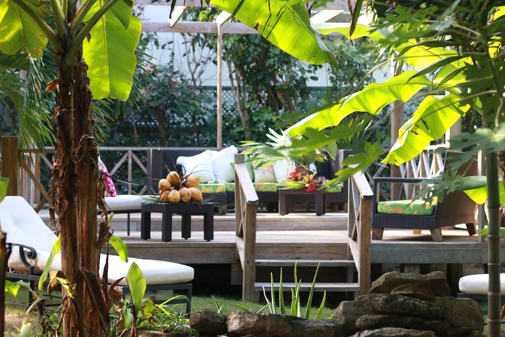 THE SUGAR APPLE BED AND BREAKFAST 27/50