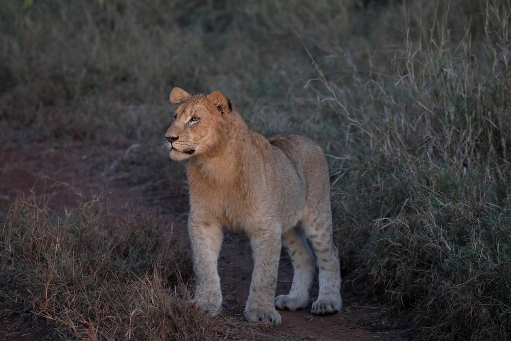 Camp Nkwazi 23/29