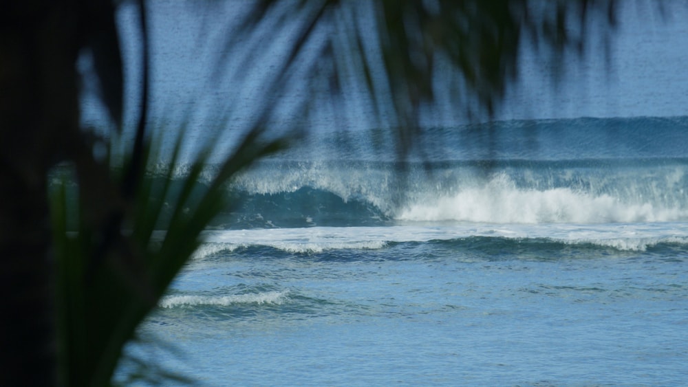 Ocean Escape Resort & Spa 37/48