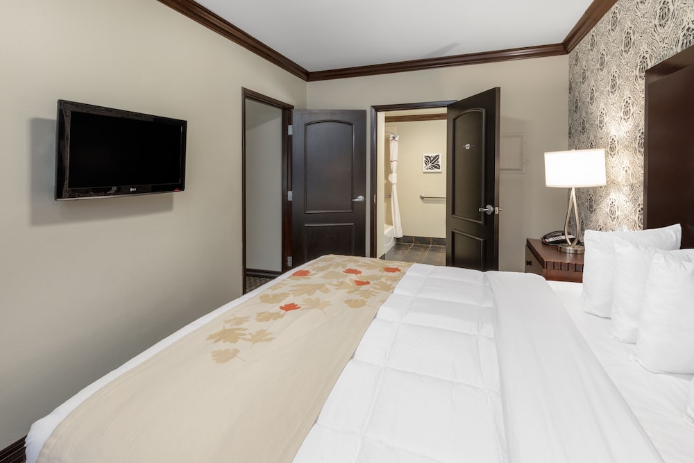 Hawthorn Suites by Wyndham Lubbock 29/92