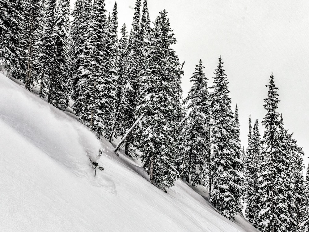Eleven Revelstoke Lodge 23/58