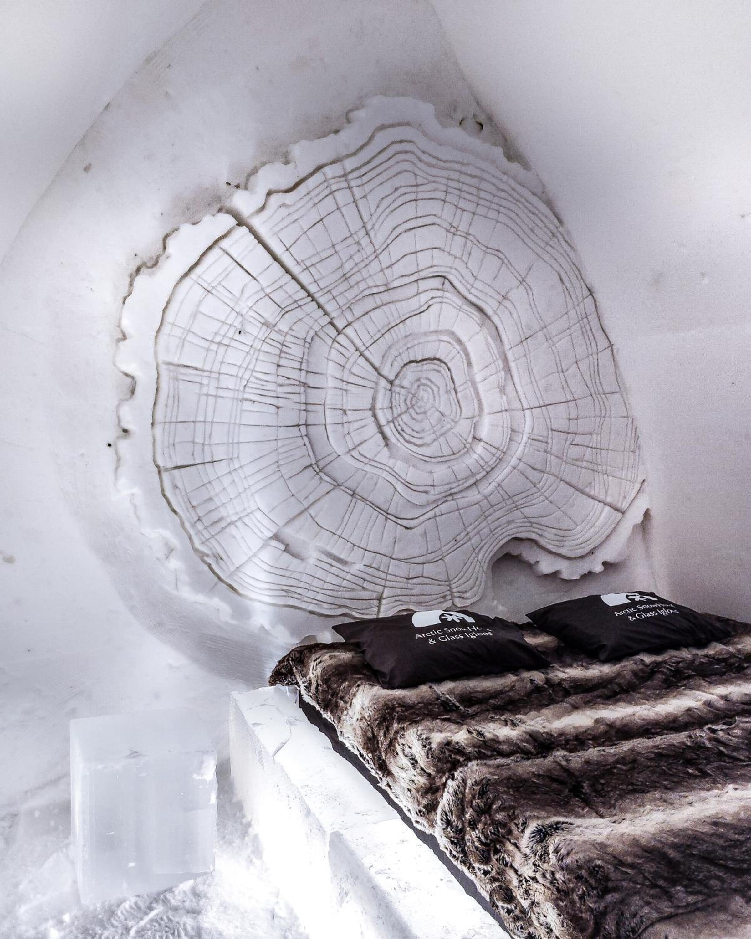 Arctic Snow Hotel And Glass Igloos photo3