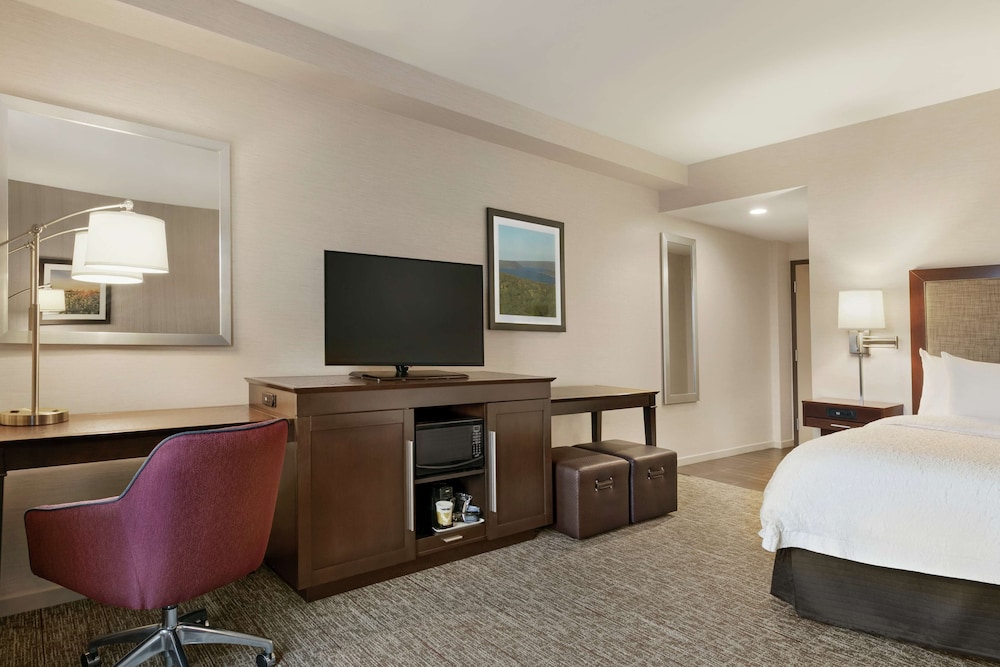 Hampton Inn Penn Yan 18/41