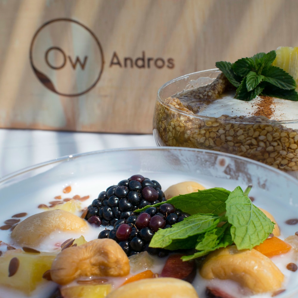 Ow Andros - Luxury Suites 16/50