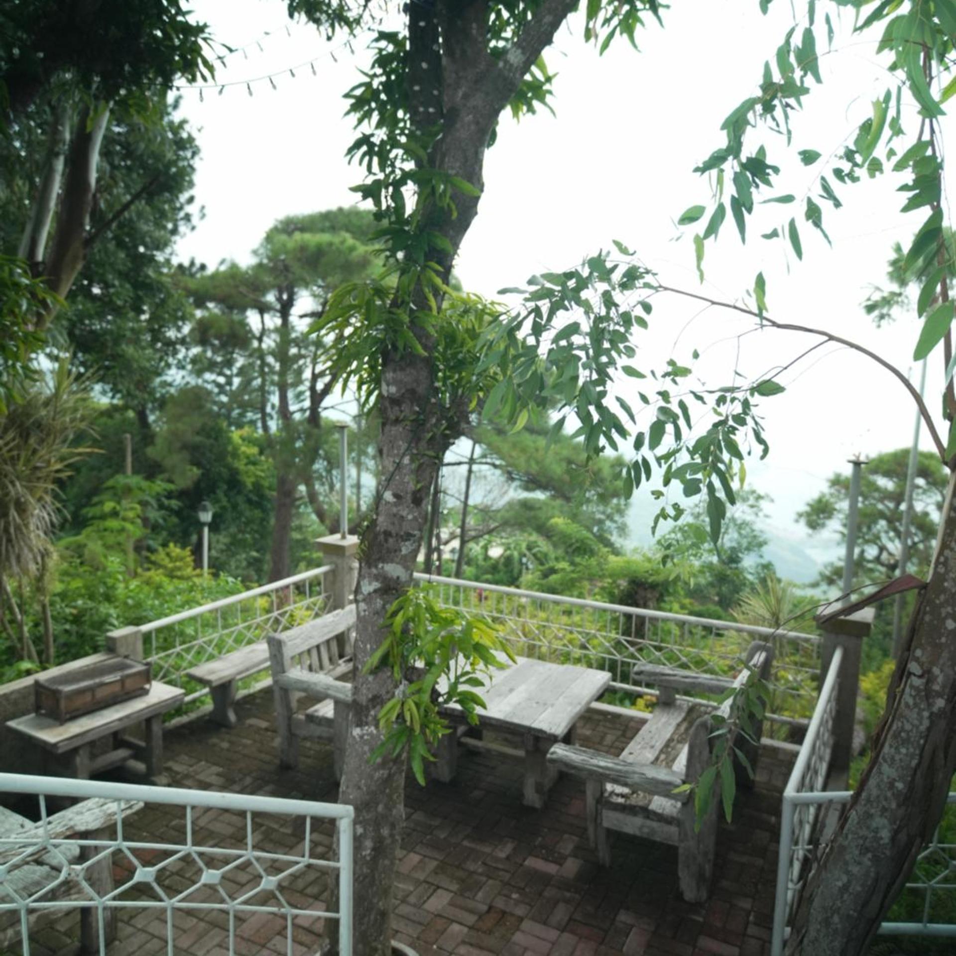 The Carmelence View 29/43